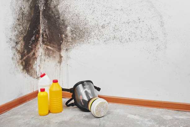 Water Damage Restoration in Walden, NY