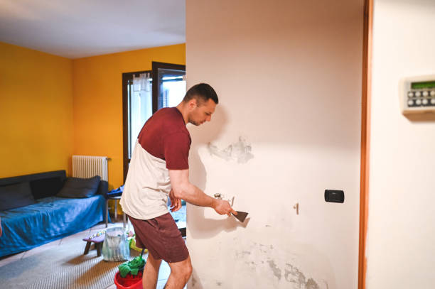Best Commercial Mold Removal  in Walden, NY